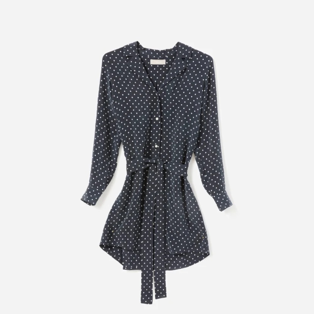 EVERLANE - Navy Dot Shirt dress - NEW w/ Tags!
